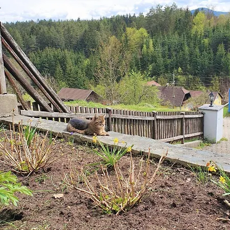 Appartement Am Woerthersee Mit Pool