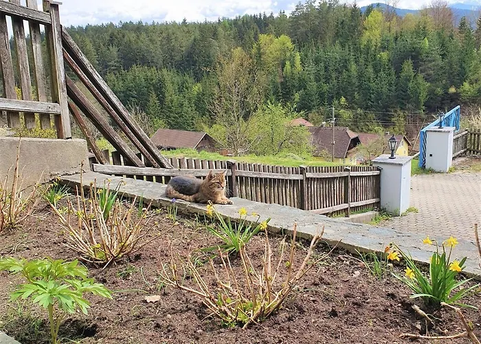 דירה Am Woerthersee Mit Pool